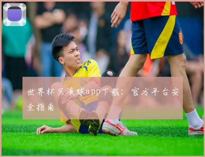 世界杯买滚球app下载：官方平台安全指南