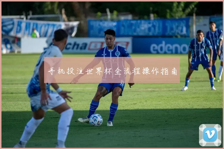 手机投注世界杯全流程操作指南