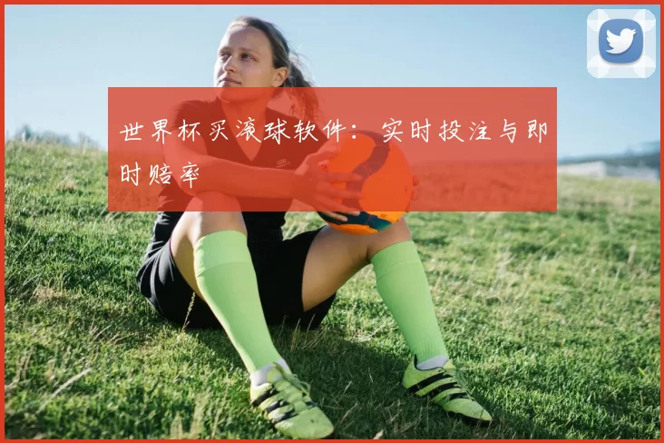 世界杯买滚球软件:实时投注与即时赔率