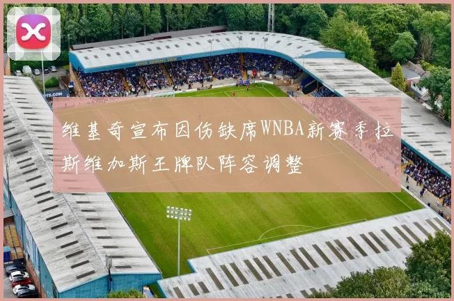 维基奇宣布因伤缺席WNBA新赛季拉斯维加斯王牌队阵容调整