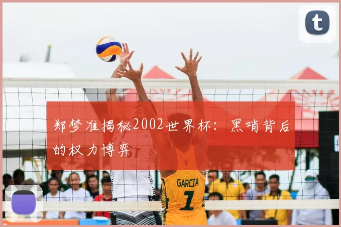 郑梦准揭秘2002世界杯：黑哨背后的权力博弈