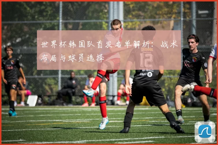 世界杯韩国队首发名单解析：战术布局与球员选择