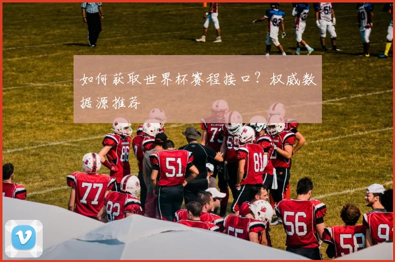 如何获取世界杯赛程接口?权威数据源推荐